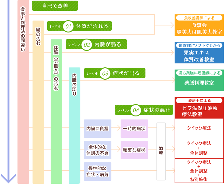 体質レベル別教室案内