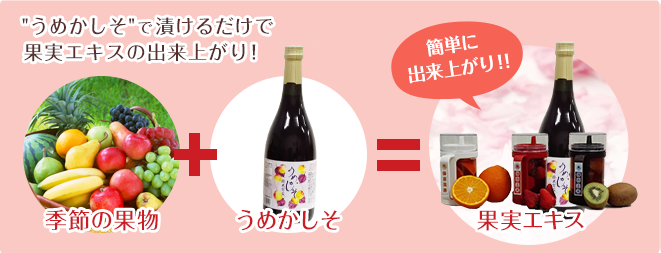 「うめかしそ」で漬けるだけで果実エキスの出来上がり！