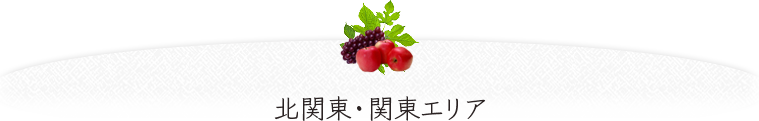 北関東・関東エリア