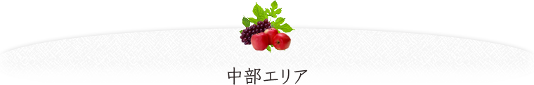 中部エリア