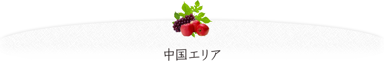 中国エリア