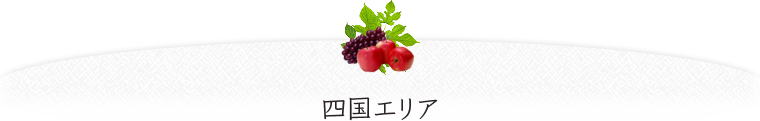 四国エリア