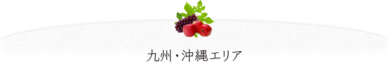 沖縄・九州エリア