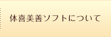 体喜美善ソフトについて