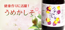 健康作りに活躍！梅果紫蘇
