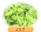 よもぎ