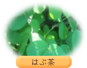 はぶ茶