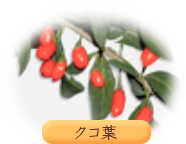 クコ葉