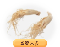 高麗人参
