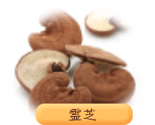 霊芝