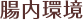腸内環境