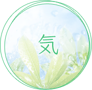 気