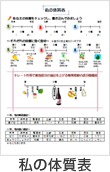 私の体質表