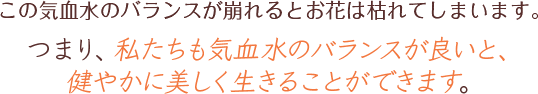 この気血水のバランスが崩れるとお花は枯れてしまいます。つまり、私たちも気血水のバランスが良いと、健やかに美しく生きることができます。