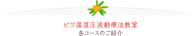 ビワ温湿圧波動療法教室 各コースのご紹介