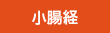 小腸経