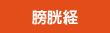 膀胱経