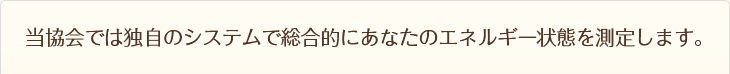 当会では独自のシステムで総合的にあなたのエネルギー状態を測定します。