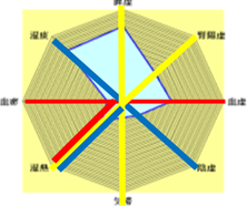 体質の偏り 図