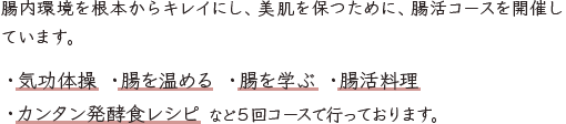 腸内環境を根本からキレイにし、美肌を保つために、腸活コースを開催しています。・気功体操 ・腸を温める ・腸を学ぶ ・腸活料理・カンタン発酵食レシピ など５回コースで行っております。