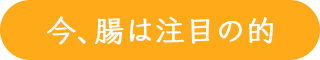 今、腸は注目の的