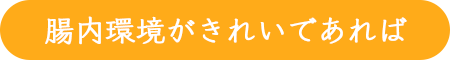 腸内環境がきれいであれば