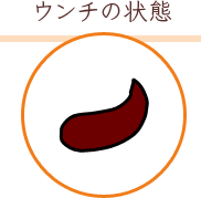 ウンチの状態