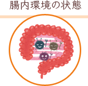 腸内環境の状態