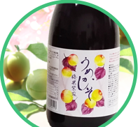 INTRODUCTION OF UMEKASHISO