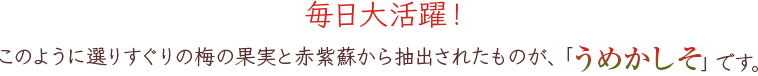 毎日大活躍！このように選りすぐりの梅の果実と赤紫蘇から抽出されたものが、「うめかしそ」です。