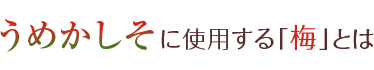 うめかしそに使用する「梅」とは