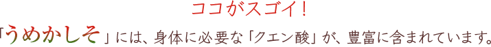 ココがスゴイ！「うめかしそ」には、身体に必要な「クエン酸」が、豊富に含まれています。